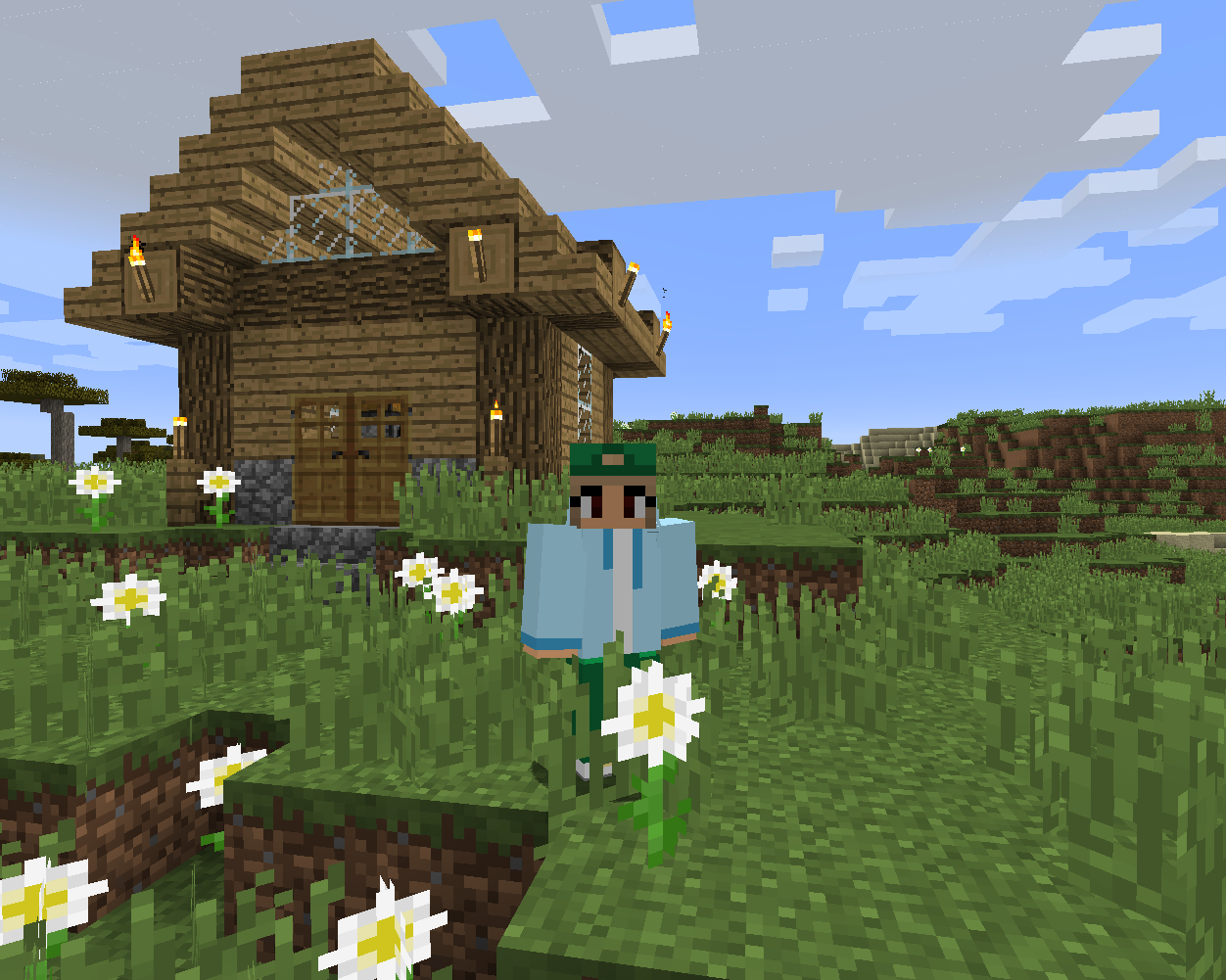 От Apple_Craft к BSB